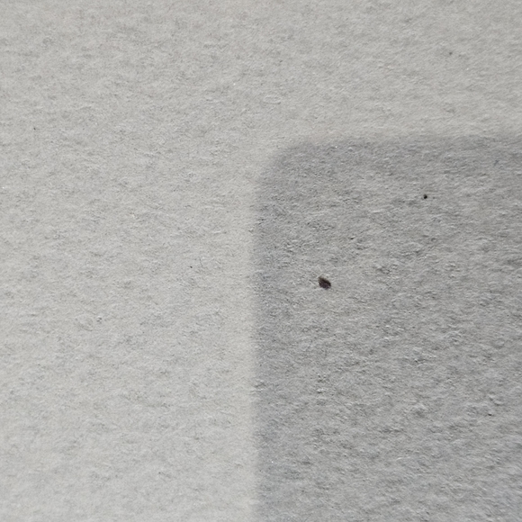 Framed 1 Corinthians 13 Love Chapter Laser Art Design by Cindy Jacobs Ltd 1988 - Picture 10 of 10